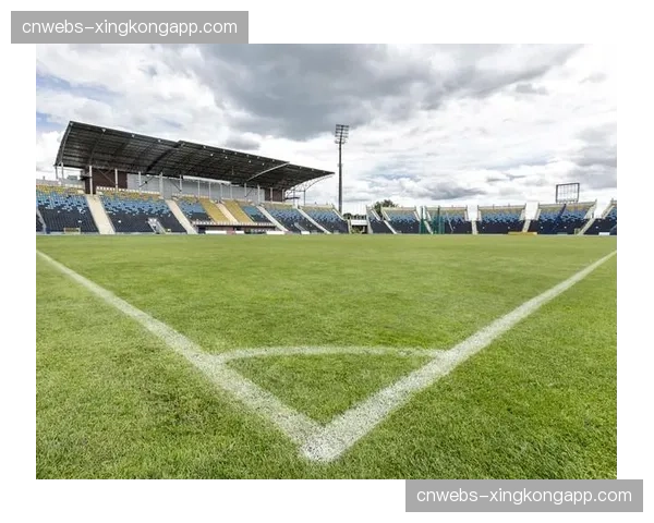 伯纳乌球场确认将于3月下旬国际比赛日期间进行草坪更换工程 伯纳乌球场确认将于3月下旬国际比赛日期间进行草坪更换工程